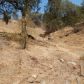 34750 Wilson Road, Auberry, CA 93602 ID:13315976