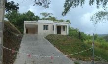 Lot A Sr 568 Km 10.4 Maguelles Ward Corozal, PR 00783