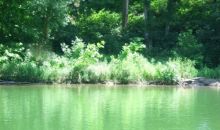 Lot 8 Rocky River Shores Rock Island, TN 38581