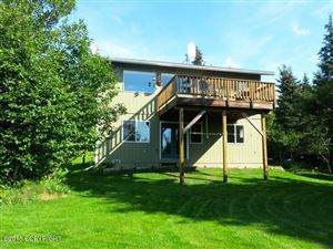 39735 Brenmark Road, Homer, AK 99603