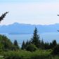 39735 Brenmark Road, Homer, AK 99603 ID:13177623