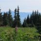 39735 Brenmark Road, Homer, AK 99603 ID:13177624