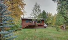 17690 E Idle Drive Palmer, AK 99645