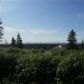 L31 Endless View Loop, Homer, AK 99603 ID:13344748