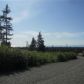 L31 Endless View Loop, Homer, AK 99603 ID:13344750