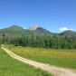 26155 Forest Service Rd 409, Clark, CO 80428 ID:13042520