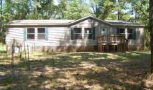 124 Autumn Trl Avinger, TX 75630