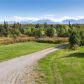 56220 Glenn Road, Homer, AK 99603 ID:13265854