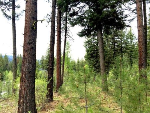 LOT 86 Majestic View Drive, Mccall, ID 83638