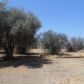 6661 Road 260, Ducor, CA 93218 ID:13316043