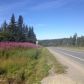 41945 Sterling Highway, Homer, AK 99603 ID:13309172