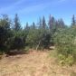 41945 Sterling Highway, Homer, AK 99603 ID:13309176