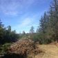 41945 Sterling Highway, Homer, AK 99603 ID:13309177