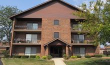 8100 168th Pl Apt 3w Tinley Park, IL 60477