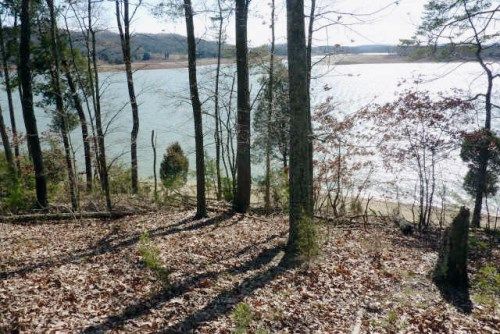 Lot 63R 420 Chelaque Way, Mooresburg, TN 37811