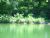 Lot 8 Rocky River Shores Rock Island, TN 38581