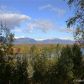 900 E Susitna Avenue, Wasilla, AK 99654 ID:13389289