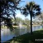 163 Sw 3rd St # 163, Pompano Beach, FL 33060 ID:11712917