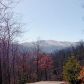 Lot C20 Woodfern Point, Gatlinburg, TN 37738 ID:13351921