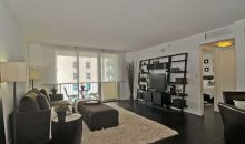 9195 COLLINS AVE # 811 Miami Beach, FL 33154