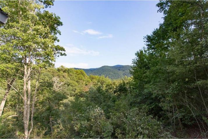 155 Horse Trail, Blue Ridge, GA 30513