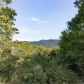 155 Horse Trail, Blue Ridge, GA 30513 ID:13448514