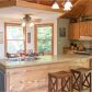 155 Horse Trail, Blue Ridge, GA 30513 ID:13448518