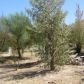 391 N Shadow Mountain Road, Littlefield, AZ 86432 ID:13430312