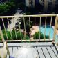 4550 NW 9 ST # 901E, Miami, FL 33126 ID:13427926