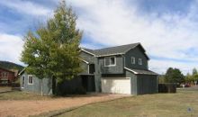 1860 Blackfoot Trl Woodland Park, CO 80863