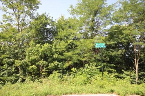 Lot 27 Aqua View Drive, Silver Point, TN 38582