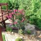 7185 Creek Ridge Dr, Gainesville, GA 30506 ID:13386536