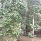 6653 Blantyre Boulevard, Stone Mountain, GA 30087 ID:13469208