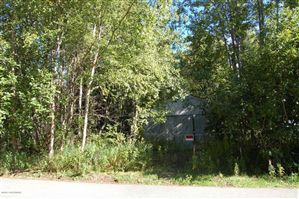 13101 Back Road, Anchorage, AK 99515