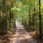 383 Wildflower Trail, Dawsonville, GA 30534 ID:13500702