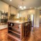 3175 Gulls Wharf Drive, Gainesville, GA 30501 ID:13402758