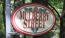 3016 Mulberry Street Ne Marietta, GA 30066