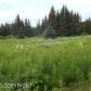 65047 Damar Loop, Homer, AK 99603 ID:13052066