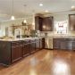 295 Hawthorne Ridge Circle, Dallas, GA 30132 ID:13381820