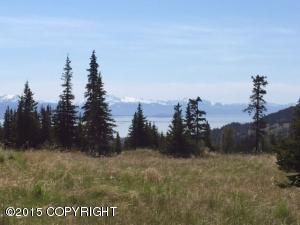 L14 Elata Avenue, Homer, AK 99603