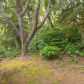 955 SE 31st St, Lincoln City, OR 97367 ID:13391173