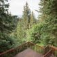 4468 Emerade Court, Homer, AK 99603 ID:13493493