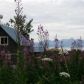 56911 Yellow Eye Court, Homer, AK 99603 ID:13191149