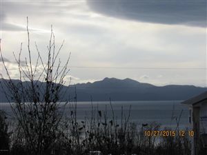 2242 Mount Augustine Drive, Homer, AK 99603