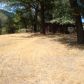 1420 Van Duzen Rd, Mad River, CA 95552 ID:13568758