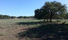 0 Eileens Ln Harper, TX 78631