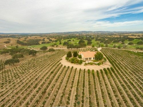 4774 Mill Road, Paso Robles, CA 93446