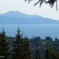 65299 Diamond Ridge Road, Homer, AK 99603 ID:13351747