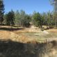 2989 State Highway 49 S., Mariposa, CA 95338 ID:13578525