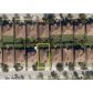 13425 SW 282 ST, Homestead, FL 33033 ID:12881461